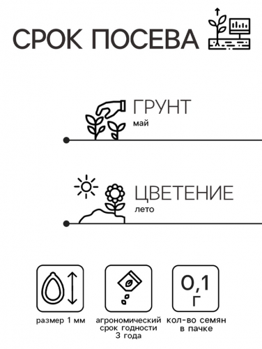 Семена цветов Иберис зонтичный 