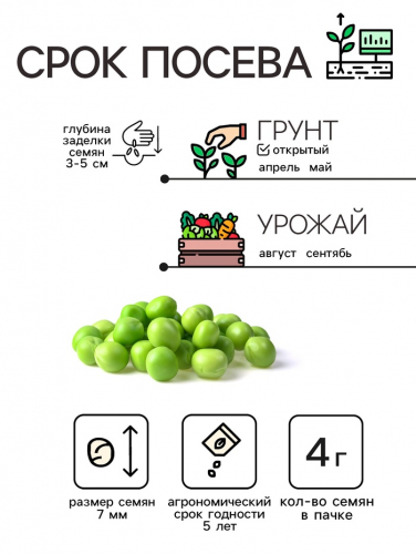 Семена Горох 
