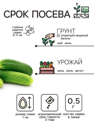 Семена Огурец 