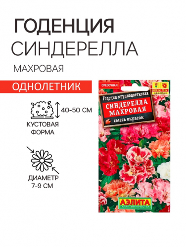 Семена  цветов Годеция 