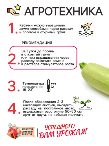 Семена Кабачок 