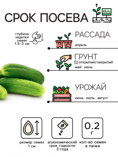 Семена Огурец 