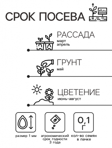 Семена цветов Иберис 