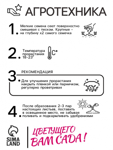 Семена цветов Иберис зонтичный 