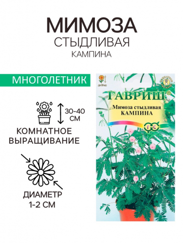 Семена комнатных цветов Мимоза 
