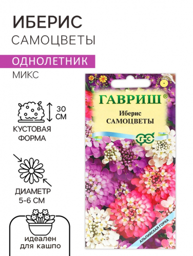 Семена цветов Иберис 
