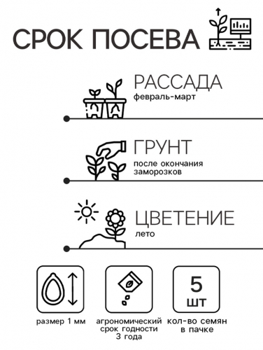 Семена цветов Катарантус 