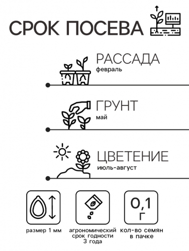 Семена цветов Зорька 