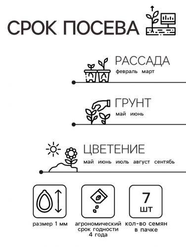 Семена  Петуния мини 