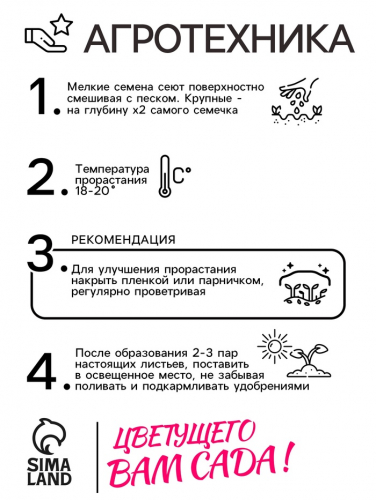 Семена комнатных цветов Мимоза 