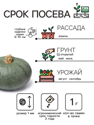 Семена Тыква 