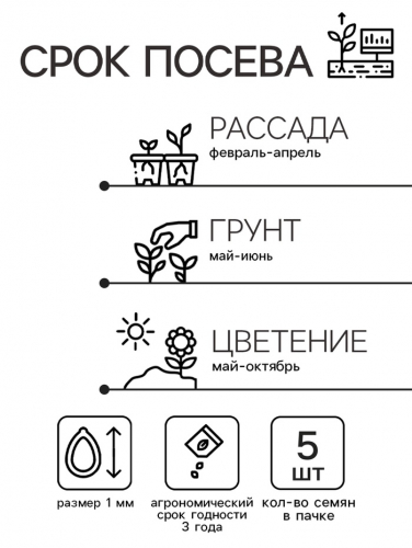 Семена цветов Катарантус 