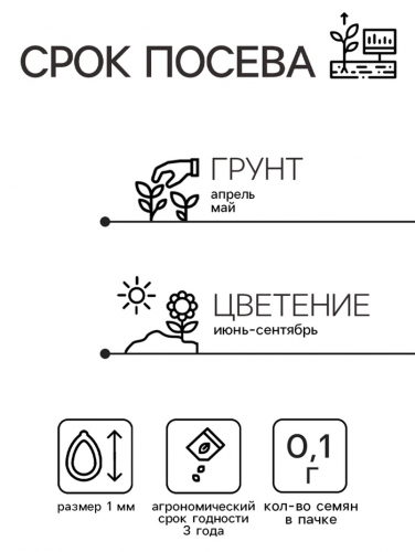Семена цветов Иберис 