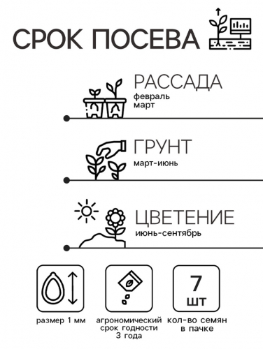 Семена цветов Катарантус 