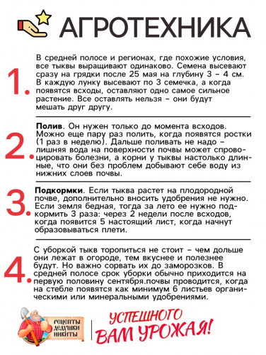 Семена Тыква 