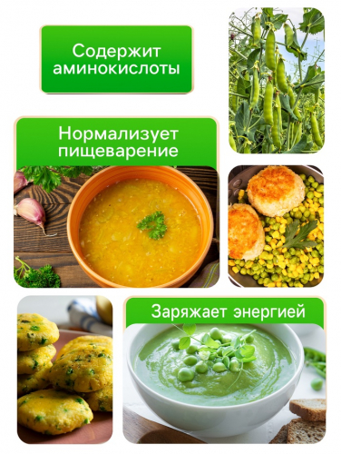 Семена Горох 