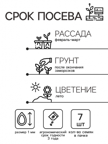 Семена цветов Катарантус 