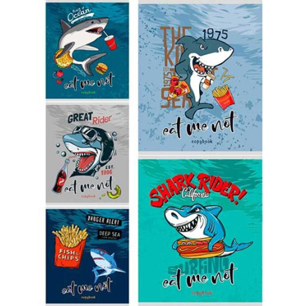 Тетрадь 48л. кл.