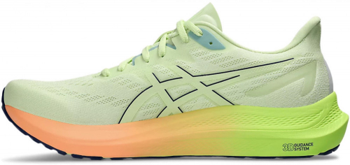 Кроссовки мужские GT-2000 12, Asics