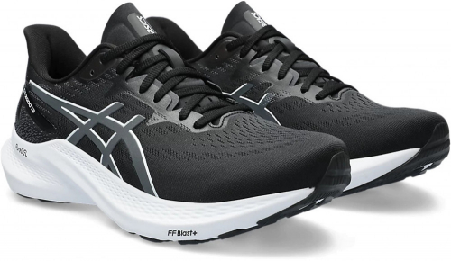 Кроссовки мужские GT-2000 12, Asics