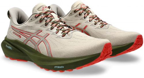 Кроссовки мужские GT-2000 13 TR, Asics