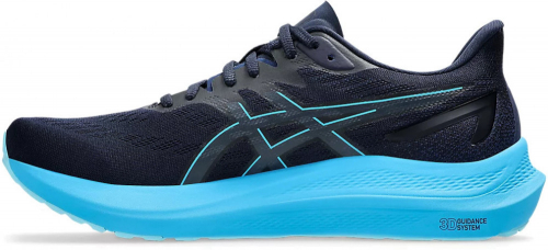 Кроссовки мужские GT-2000 12, Asics