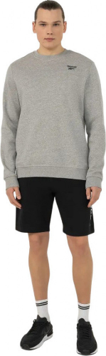 Джемпер мужской REEBOK IDENTITY SMALL LOGO FLEECE CREW, Reebok