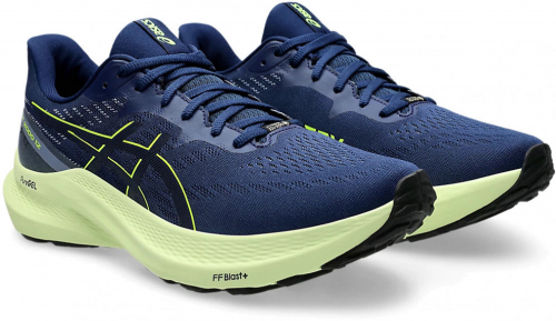 Кроссовки мужские GT-2000 12 GTX, Asics