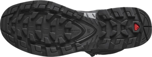 Ботинки мужские QUEST 4 GTX OlvNig/Peat/Safari, Salomon