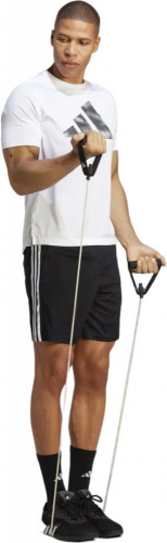 Шорты мужские TR-ES PIQ 3SHO, Adidas