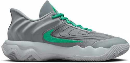 Кроссовки взрослые GIANNIS IMMORTALITY 4, Nike
