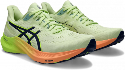 Кроссовки мужские GT-2000 12, Asics