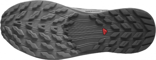 Ботинки мужские SENSE RIDE 5 GTX, Salomon