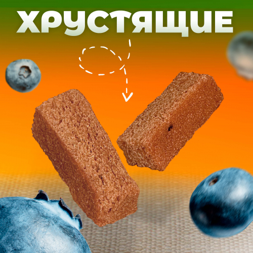 Хрустики б/с с ЧЕРНИКОЙ 100гр.