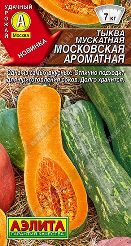 Тыква Московская ароматная мускатная 1 г ц/п Аэлита, 4-7 кг