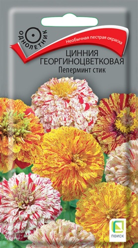 Цветы Цинния Пеперминт стик, смесь 0,4 г ц/п Поиск (однол.)