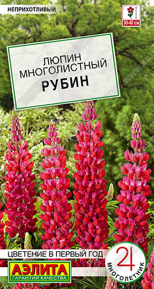 1593A Люпин Рубин 7шт
