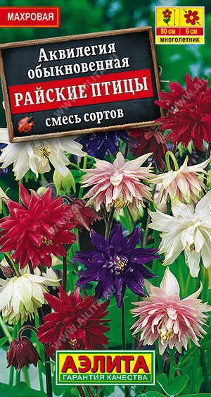 1155A Аквилегия Райские птицы, смесь сортов 0,2гр