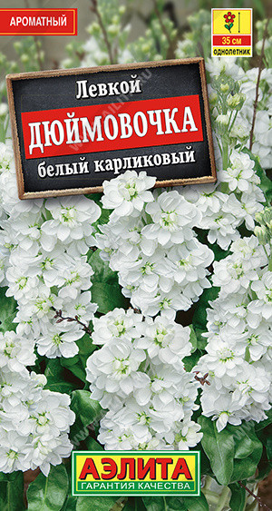 1554A Левкой карликовый Дюймовочка белый 30шт