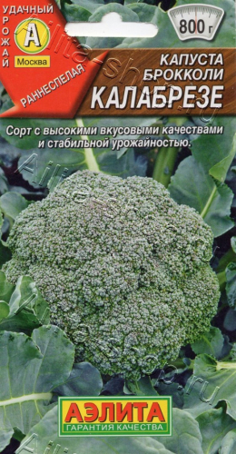 0479A Капуста брокколи Калабрезе 0,3 г