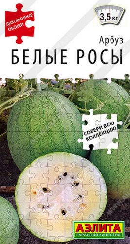 0299A Арбуз Белые росы 5 шт