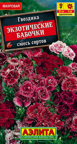 1411A Гвоздика Экзотические бабочки, смесь сортов 0,1 г