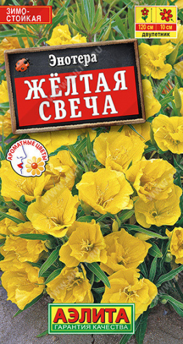 1981A Энотера Желтая свеча 0,2 г