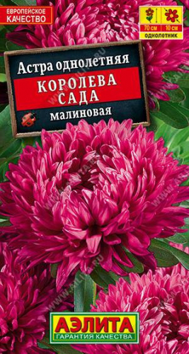 1211A Астра Королева сада, малиновая 0,2гр