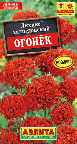 1602A Лихнис Огонек 0,1 г