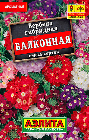 1154L Вербена Балконная, смесь сортов 40 шт