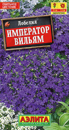 1605A Лобелия Император Вильям 0,05 г