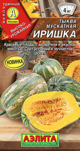 1058A Тыква мускатная Иришка 1 г