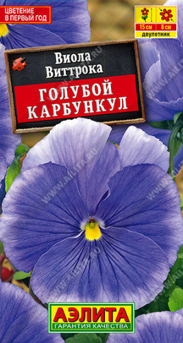 1363A Виола Голубой карбункул 20 шт