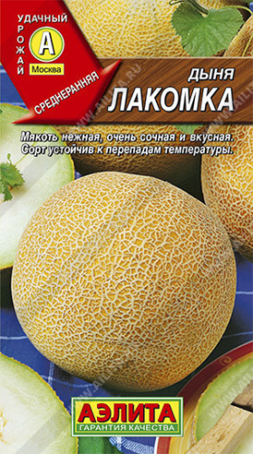 0402A Дыня Лакомка 1гр